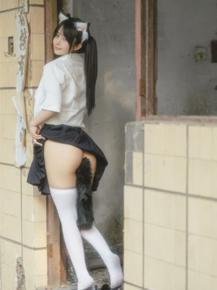 龙之战电影完整版免费观看