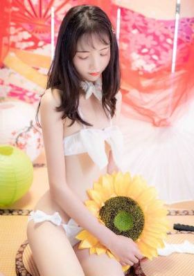 龙珠gt国语